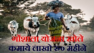 गौशाला कैसे खोले ! Sarkari loan yojana 2020