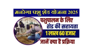 Mgnrega Pashu Shed Yojana 2025