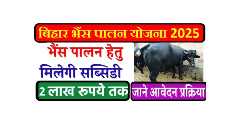 Samagra Buffalo Palan Yojana 2025