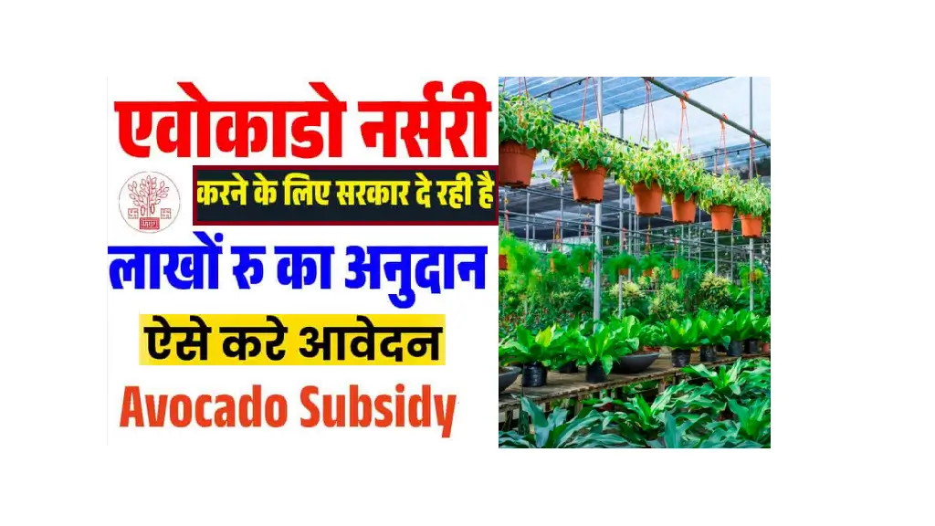 Bihar Avocado Nursery Yojana 2025