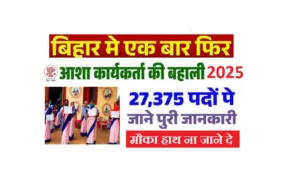 Bihar ASHA Worker Vacancy 2025