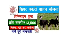 Bihar Bakri Palan Yojana 2025