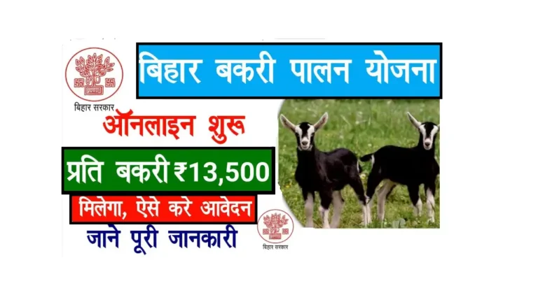 Bihar Bakri Palan Yojana 2025
