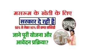 Bihar Mushroom Subsidy Yojana 2025