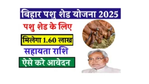 Bihar Pashu Shed Yojana 2025