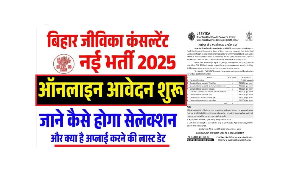 Bihar Jeevika Consultant Vacancy 2025