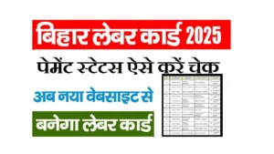 Bihar Labour Card Payment Status Check Online 2025