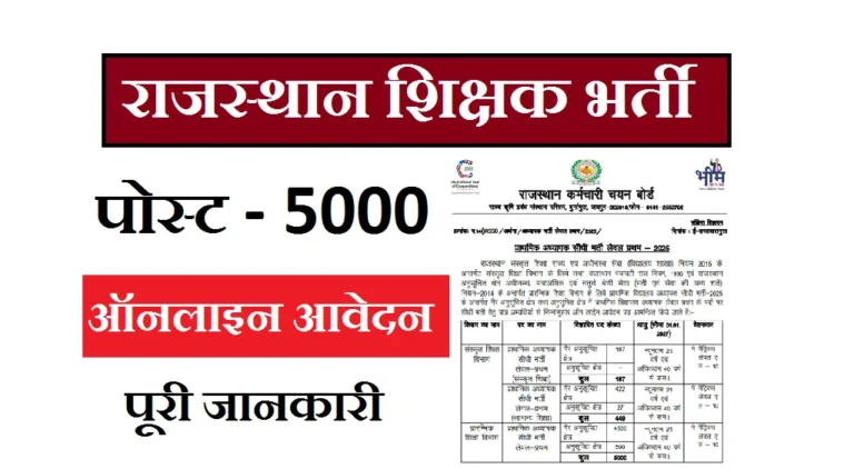 reet-mains-primary-teacher-bharti-2025