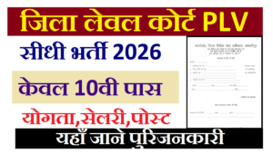 DLSA Samastipur PLV Vacancy 2026